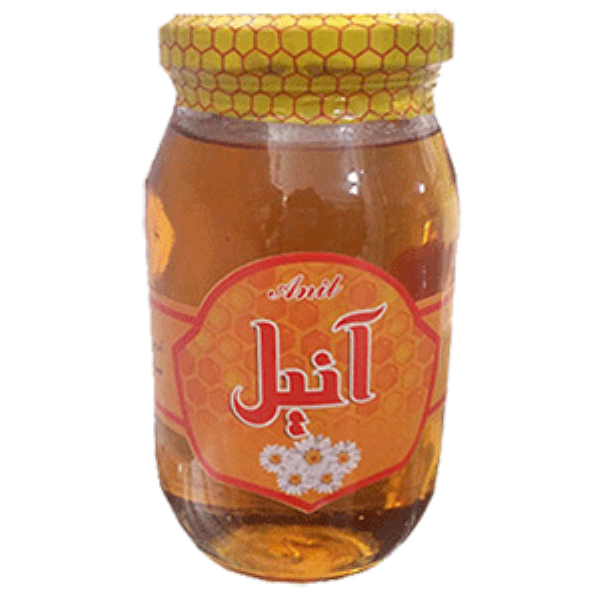 عسل " آنیل خوانسار " 600 گرمی  ( ۱ دونه بخر ۲ تا ببر )