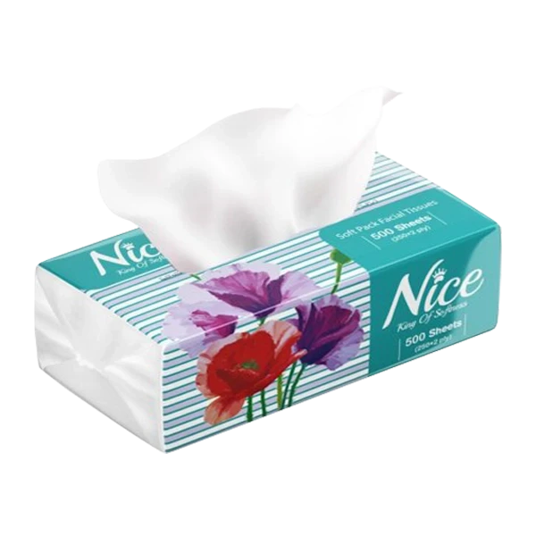 دستمال کاغذی " اقتصادی " نایس - بسته نایلونی ( 250 برگ دولا )