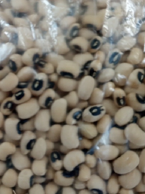 لوبیا چشم بلبلی